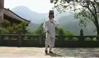武当剑教学 武当剑教学