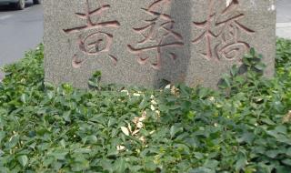 姓张的好名字 姓张的好名字
